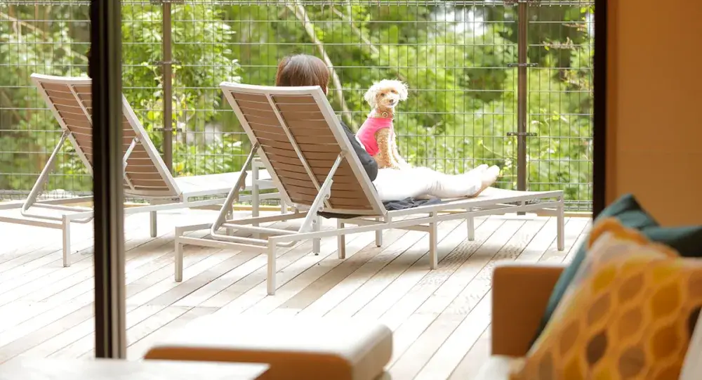 愛犬と過ごす上質な時間をあなたの“おもてなしの力”で彩りませんか？箱根のハイクラスリゾートでサービススタッフを募集！