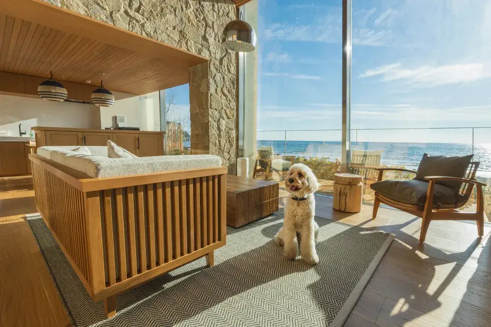 海の最前列。1日1組限定。そして、あなたのホスピタリティ。この三つをかけ合わせて、世界に誇れるプライスレスな体験を生み出す。支配人候補募集 | UMITO VILLA 鎌倉 材木座(神奈川県鎌倉市)の求人