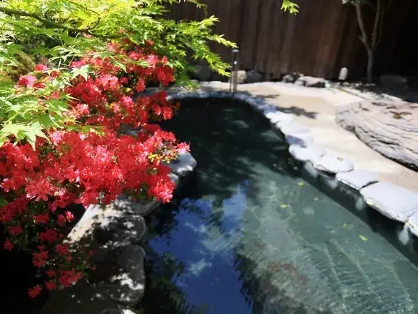 【正社員募集】源泉かけ流しの湯宿で腕を磨く 地元の味を届ける旅館調理師｜月給28万～35万円／賞与年2回／寮完備