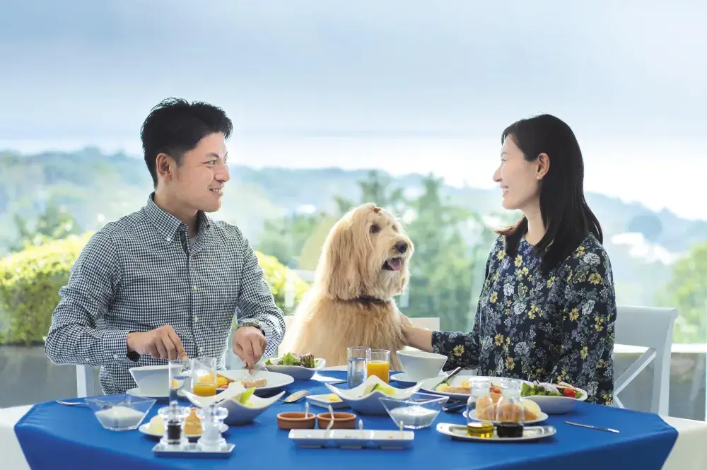 【洋食調理スタッフ募集】愛犬と過ごすリゾートホテルで“心に残る一皿”を届ける｜昇給・賞与あり／正社員｜Wan’s Resort城ヶ崎海岸
