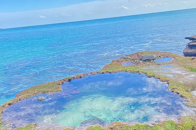 大自然奄美大島のホテルフロントスタッフ募集