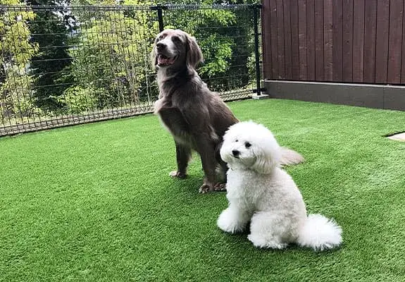 愛犬と過ごす上質な時間を“おもてなしの力”で彩る 箱根のハイクラスリゾートでレストランスタッフを募集｜寮・家賃補助あり