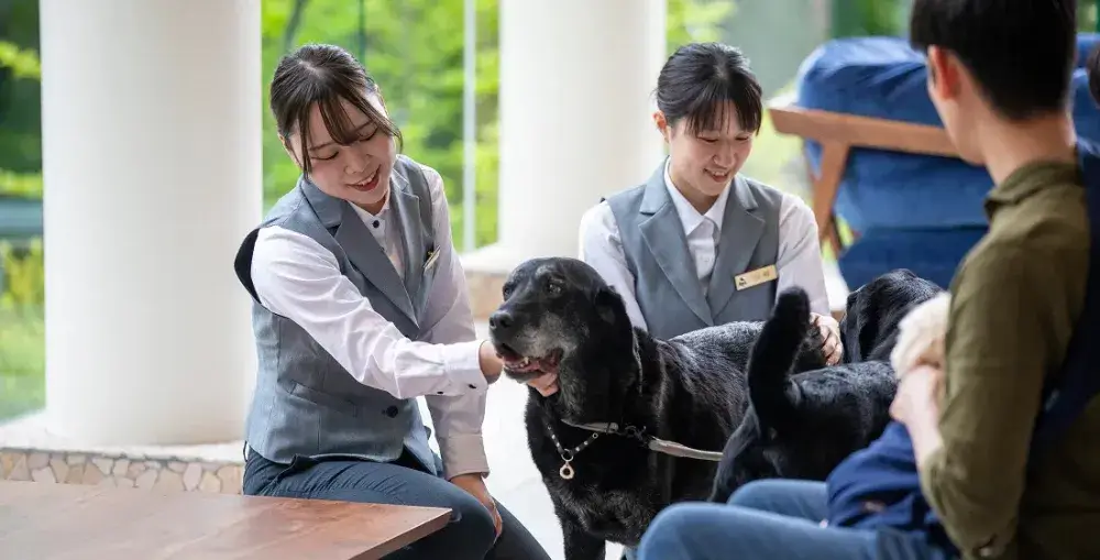 【2025年7月オープン】愛犬同伴型という新しいスタイルのホテルで、フロント経験を活かしませんか？マネージャーへのステップアップも目指せる！