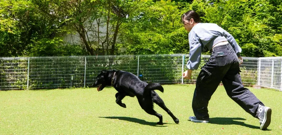 【2025年7月オープン】愛犬とのくつろいだひとときを創り上げる。愛犬同伴型ホテルで洋食レストランサービス募集！マネジメントを学びたい方も歓迎