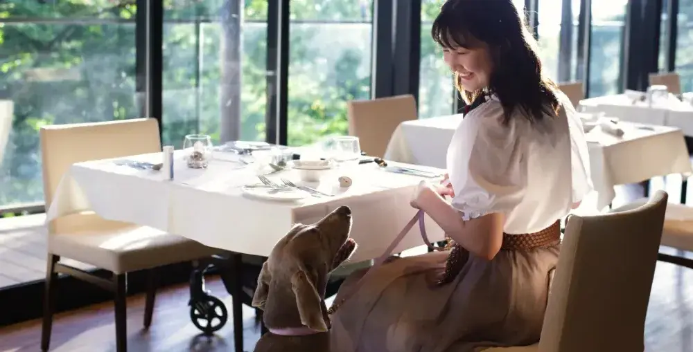 【2025年7月オープン】愛犬とのくつろいだひとときを創り上げる。愛犬同伴型ホテルで洋食レストランサービス募集！マネジメントを学びたい方も歓迎